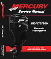 2002+ Mercury Mariner 150 175 200 EFI 2stroke Factory Service Manual